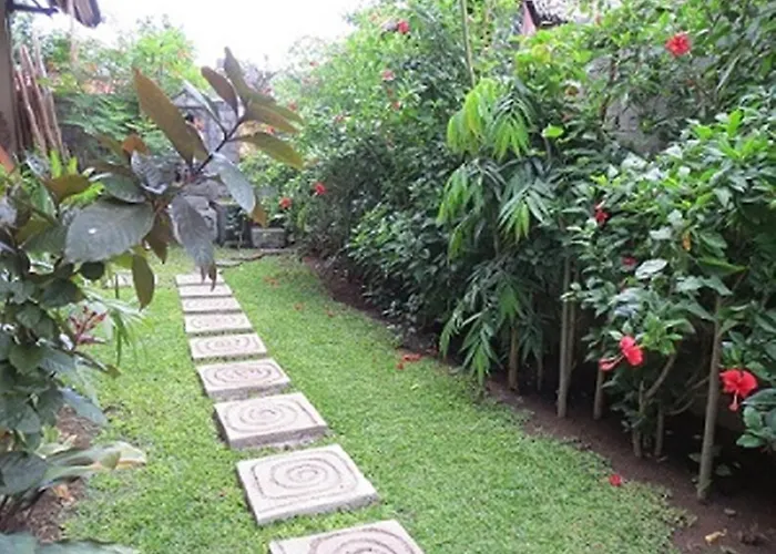 Bali Sari Amed