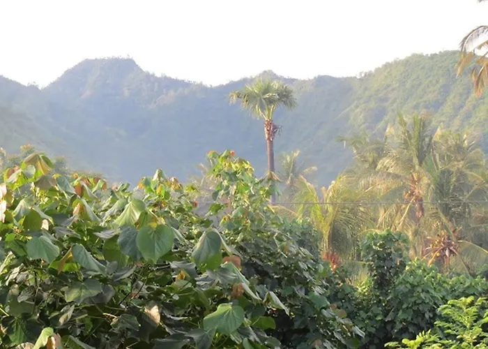 Bali Sari Amed